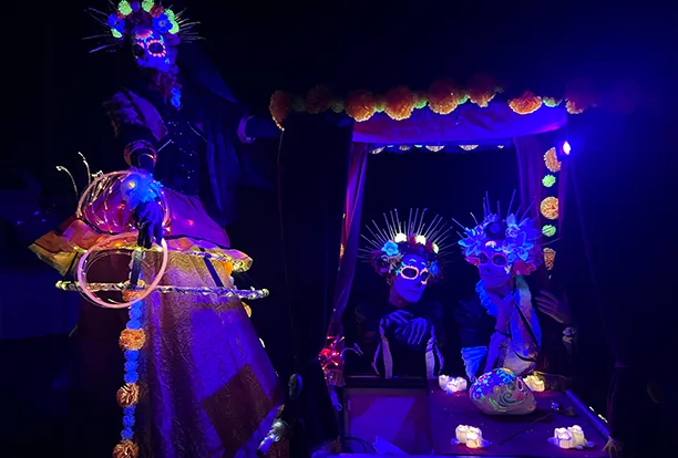 prestation-nocturne-événement-contact